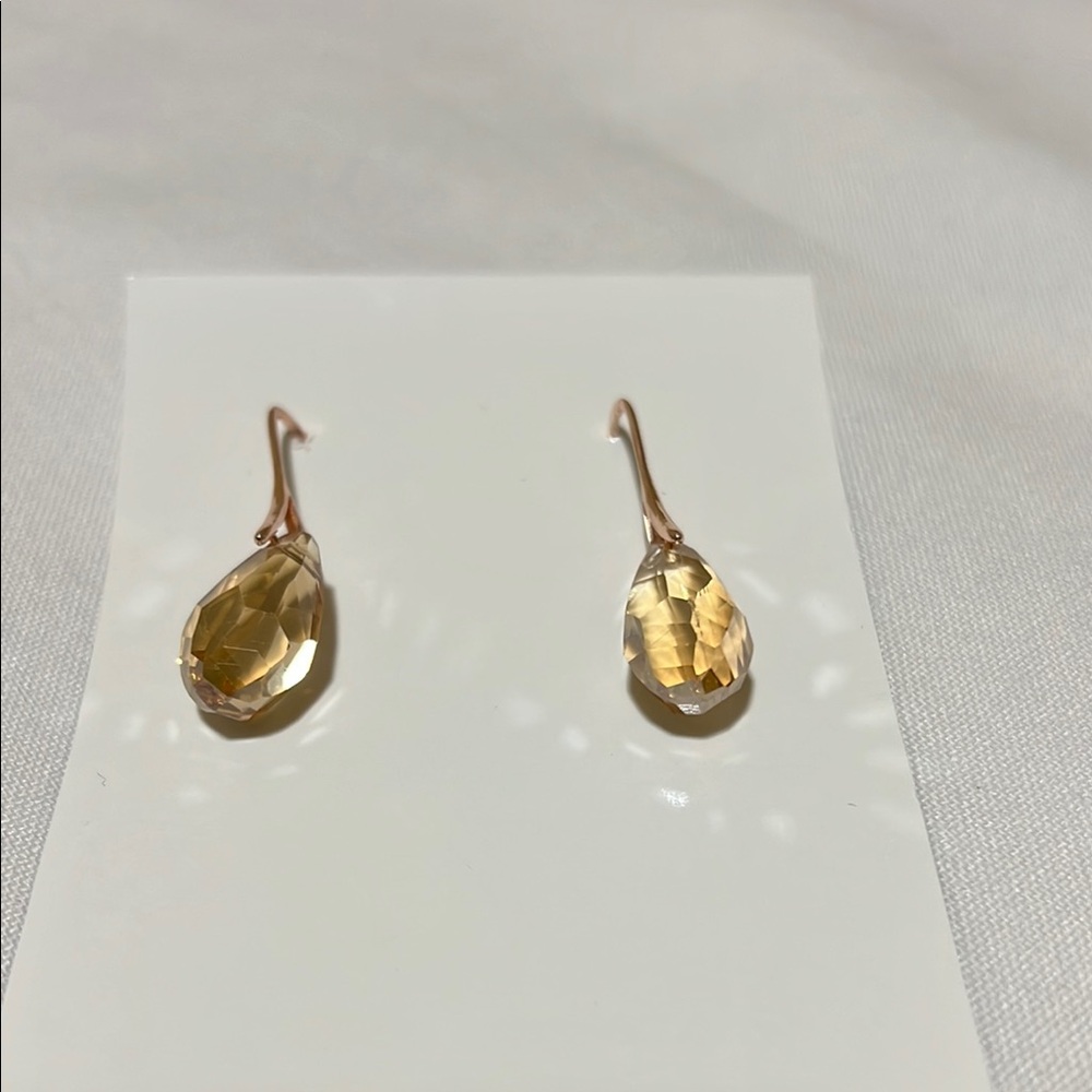 Elegant Rose Gold Drop Earrings
